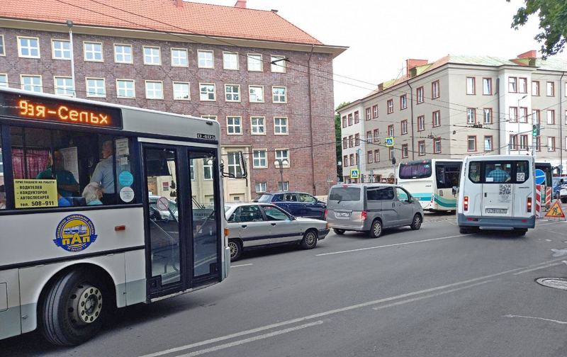 Дятлова вступилась за английский язык в автобусах Калининграда