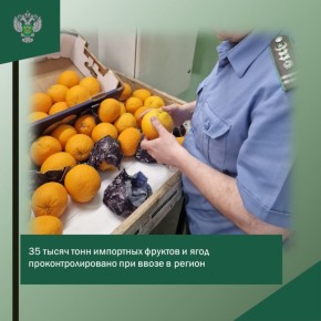 35 тысяч тонн импортных фруктов и ягод проконтролировано при ввозе в регион