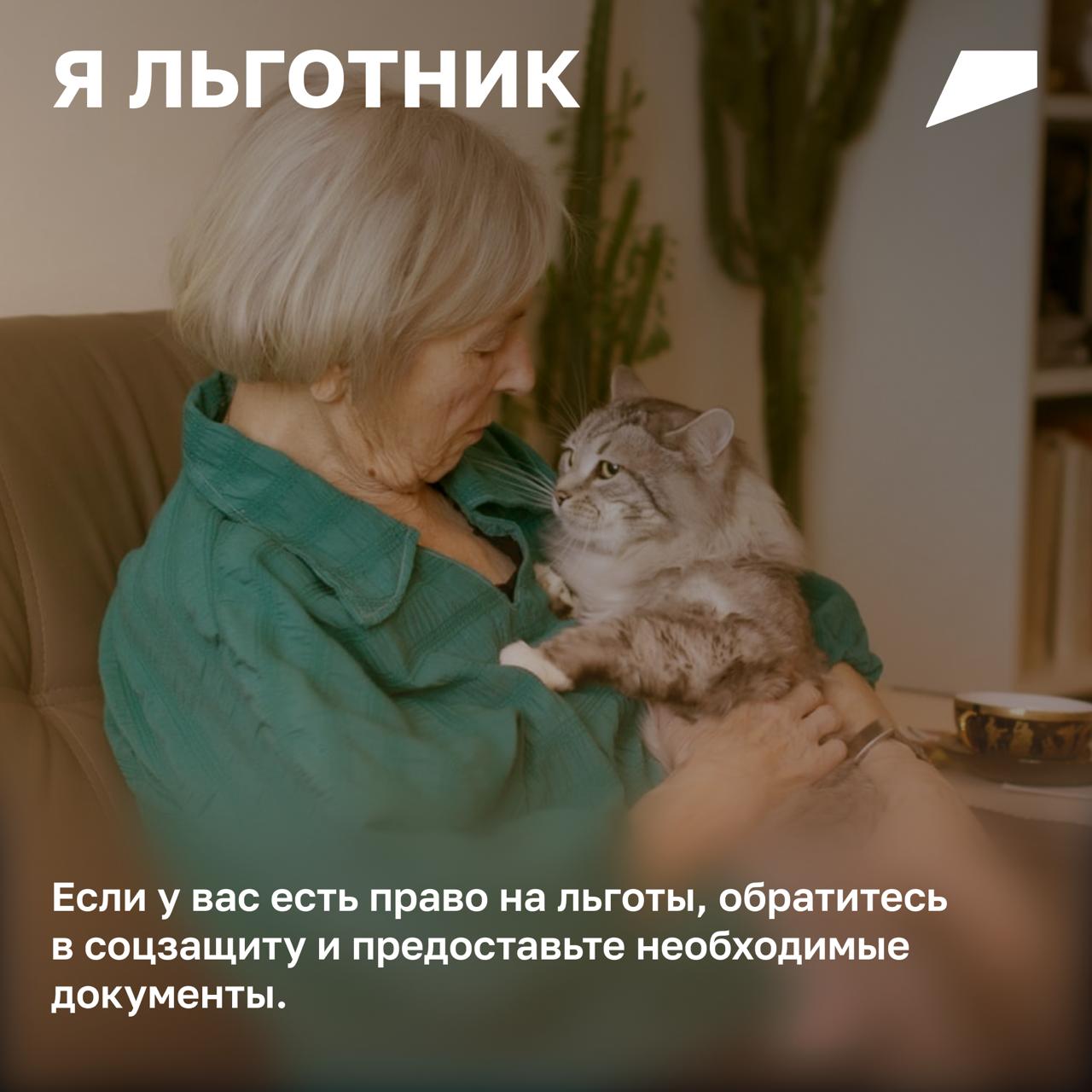 Бумажный дом: как разобраться с документами и счетами Бумажный дом: как разобраться с документами и счетами