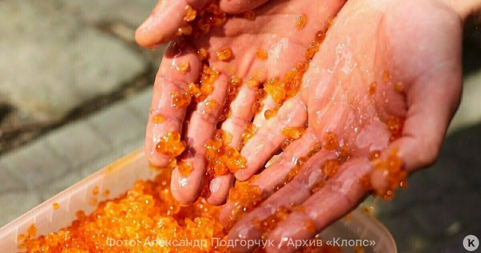Россиян заверили, что перед Новым годом не будет дефицита красной икры
