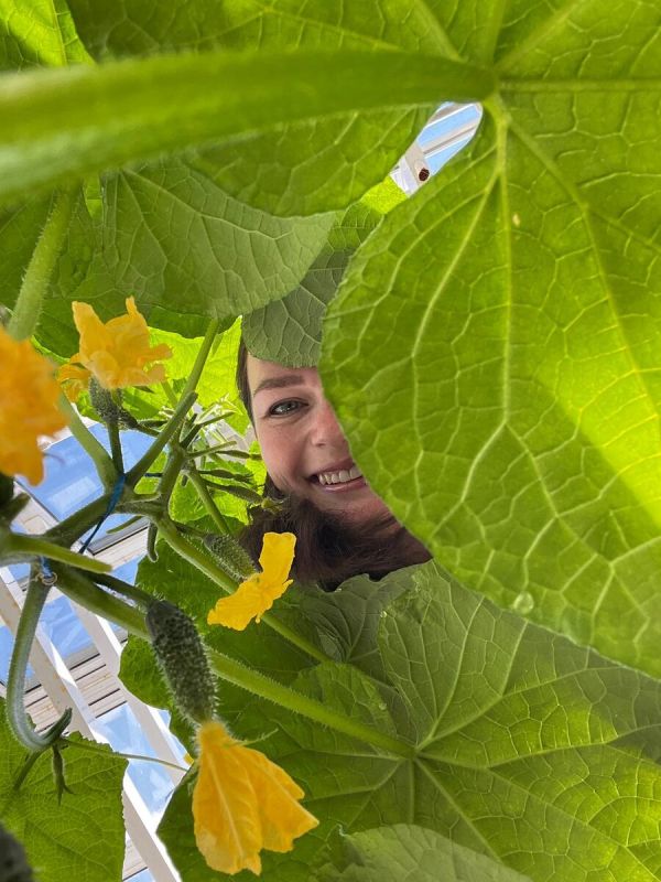 Обработка огорода в зной: что нужно знать