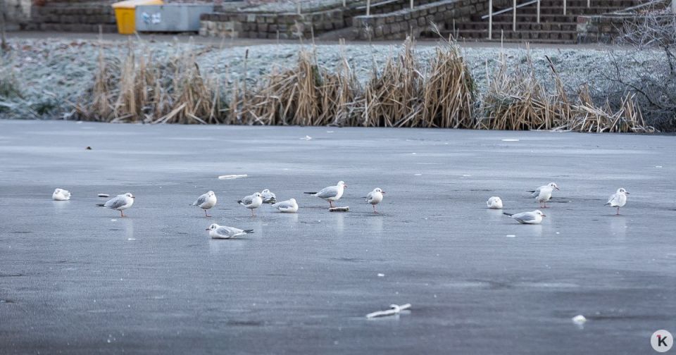 ������ � ������������ � ������� � �����������