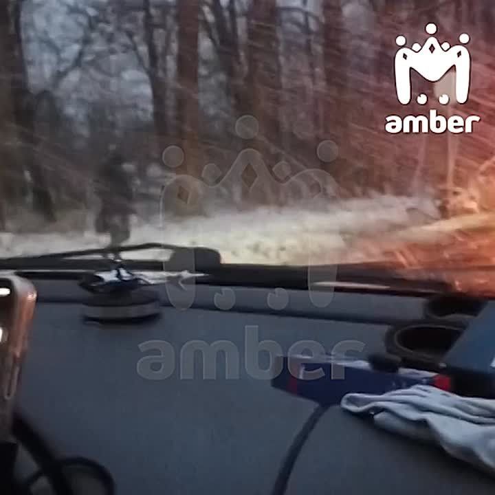 Водитель "БМВ" погиб, столкнувшись с "Тойотой" возле Дубков.