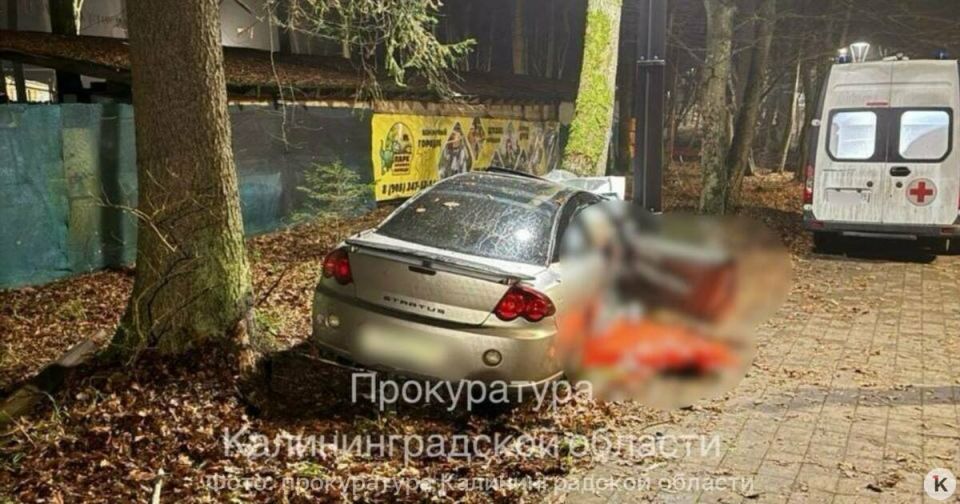 После смертельной аварии в Светлогорске водитель оказался под уголовным делом