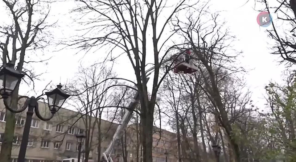 Первая метель в Калининграде