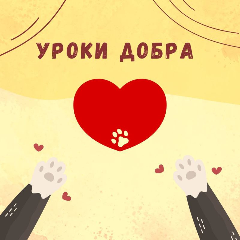 «Уроки добра» от волонтеров приюта «Славянское» — учим детей милосердию и ответственности