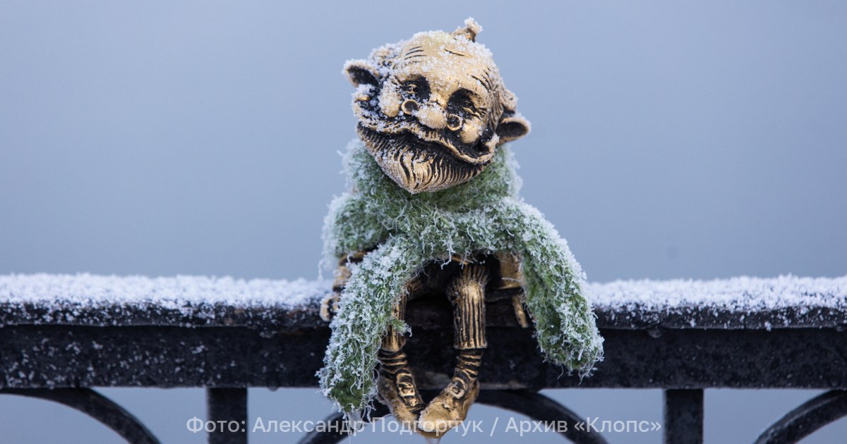 Зима выйдет из тумана по гололёду: прогноз погоды в Калининграде и области на понедельник