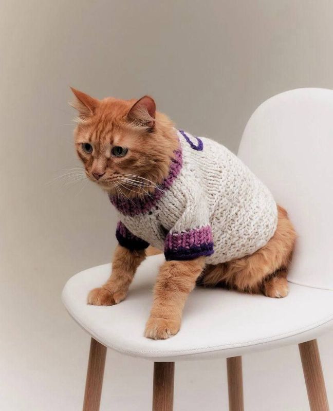 Доброе утро! С первым днем зимы!