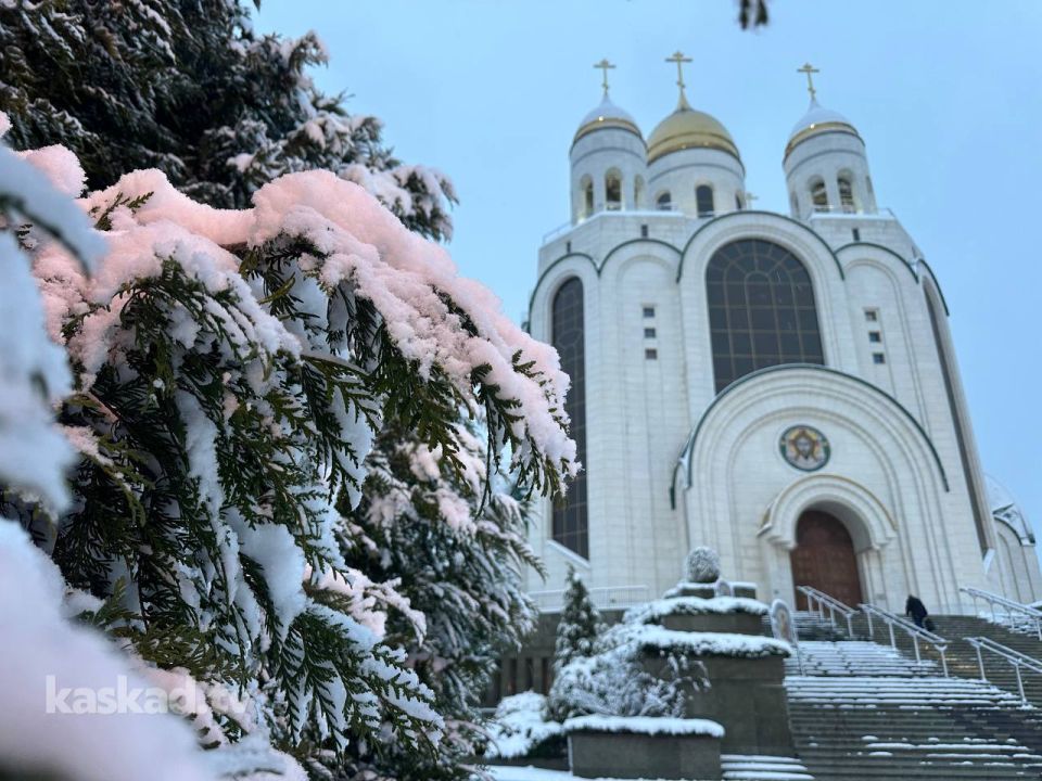Паспорта, утильсбор и повышение пенсий: что изменится в России с 1 декабря 2025 года
