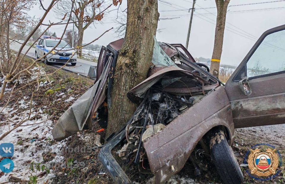 В Гурьевском округе водитель легковушки врезался в дерево
