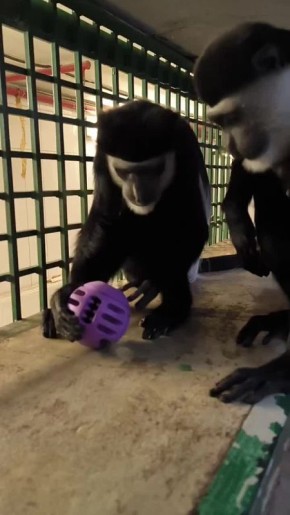 Придумайте название для видео