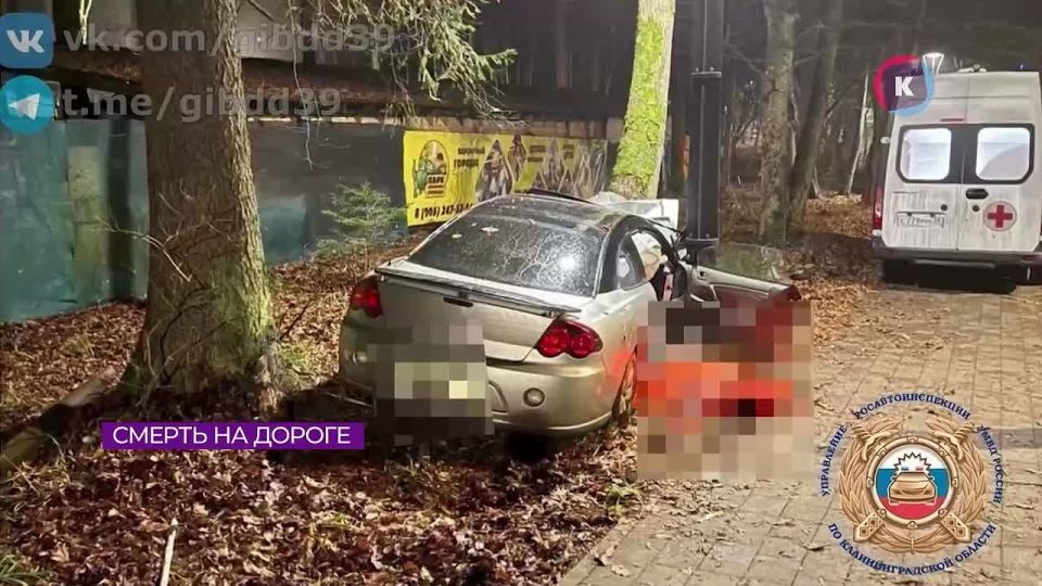 Три человека погибли и шесть пострадали в Калининградской области на выходных