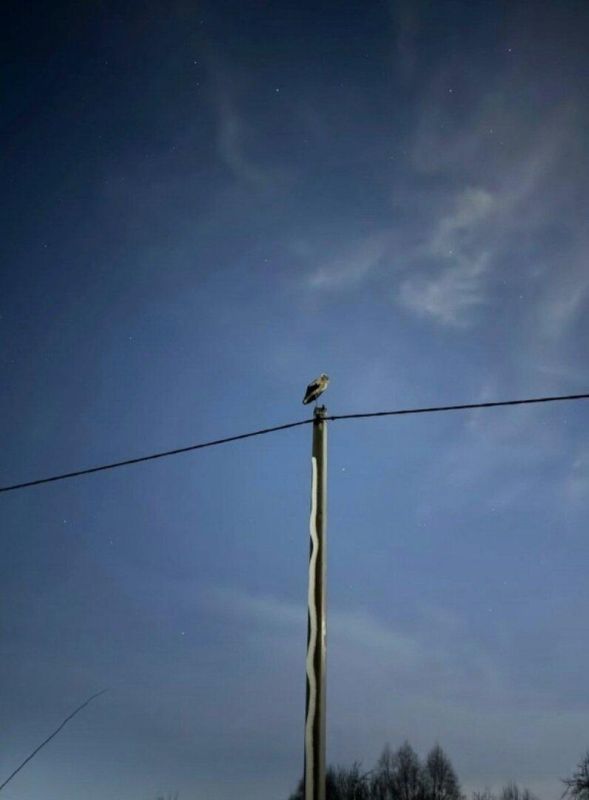 � ��������� ������ ��� �����: �������� ���������, ������ �� ���� �� ������ � �������