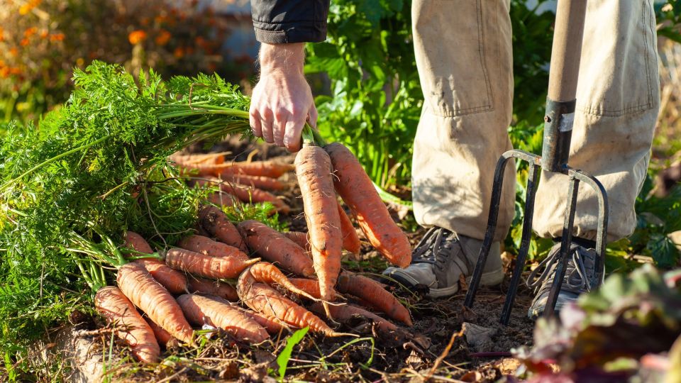 ������ ������� ������� �������� ��� ������ ������: ������� ������ ������ ���