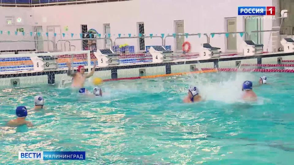 Завершился первый в истории Калининградской области чемпионат региона по водному поло