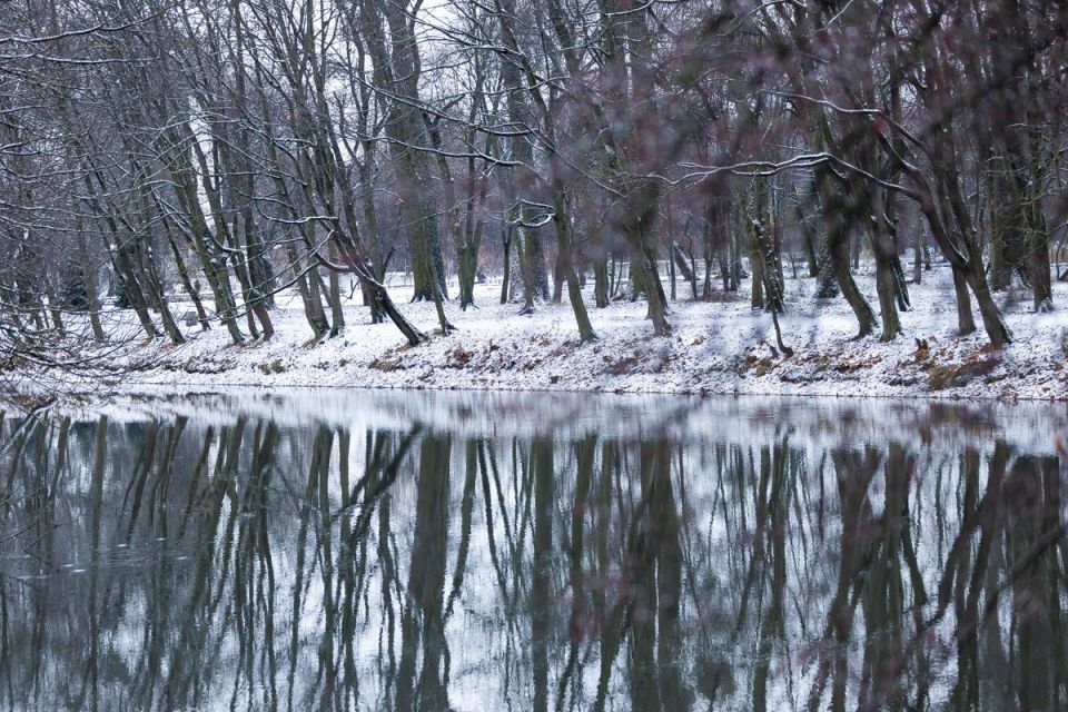 Снег! Настоящий! В Калининграде! Размещаем, чтобы потом не говорили, что у нас только дожди