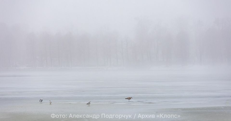 ������ ����� ����� ��������� �� ��������: ����������� ������� �������������� 2 ������� �����, �������� � ������