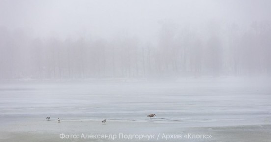 Воздух можно будет разливать по стаканам: метеорологи обещают калининградцам 2 декабря туман, изморозь и морось