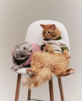 Доброе утро! С первым днем зимы!