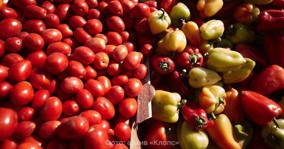 Калининградские фермеры пичкали перец и салат нитратами и пестицидами