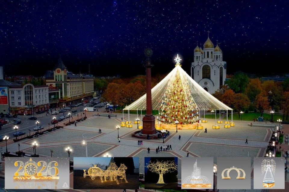 В Калининграде на Верхнем озере начали собирать новогоднюю красавицу