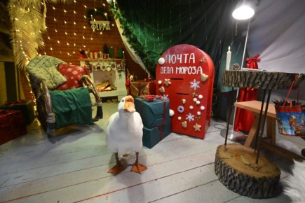 В Зеленоградске открыли почтовый ящик для писем Деду Морозу