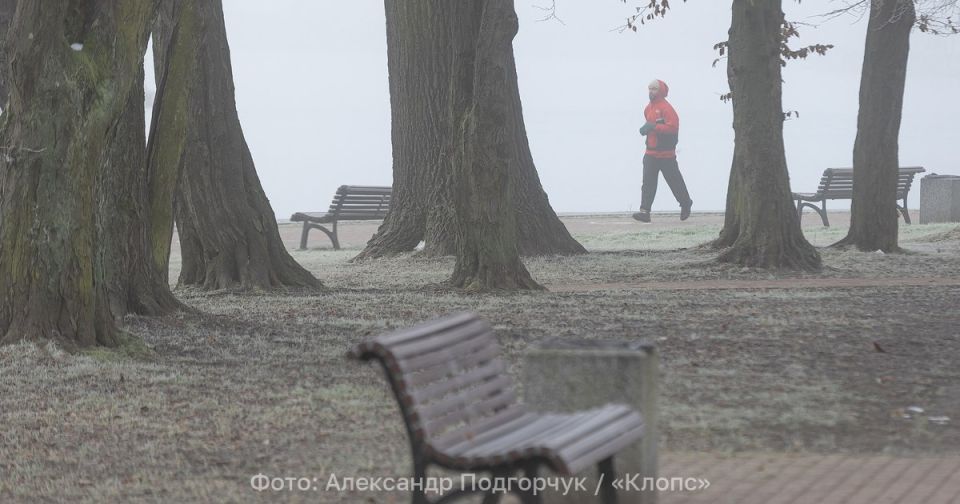 В среду в калининградском тумане и сером небе появятся солнечные проталины