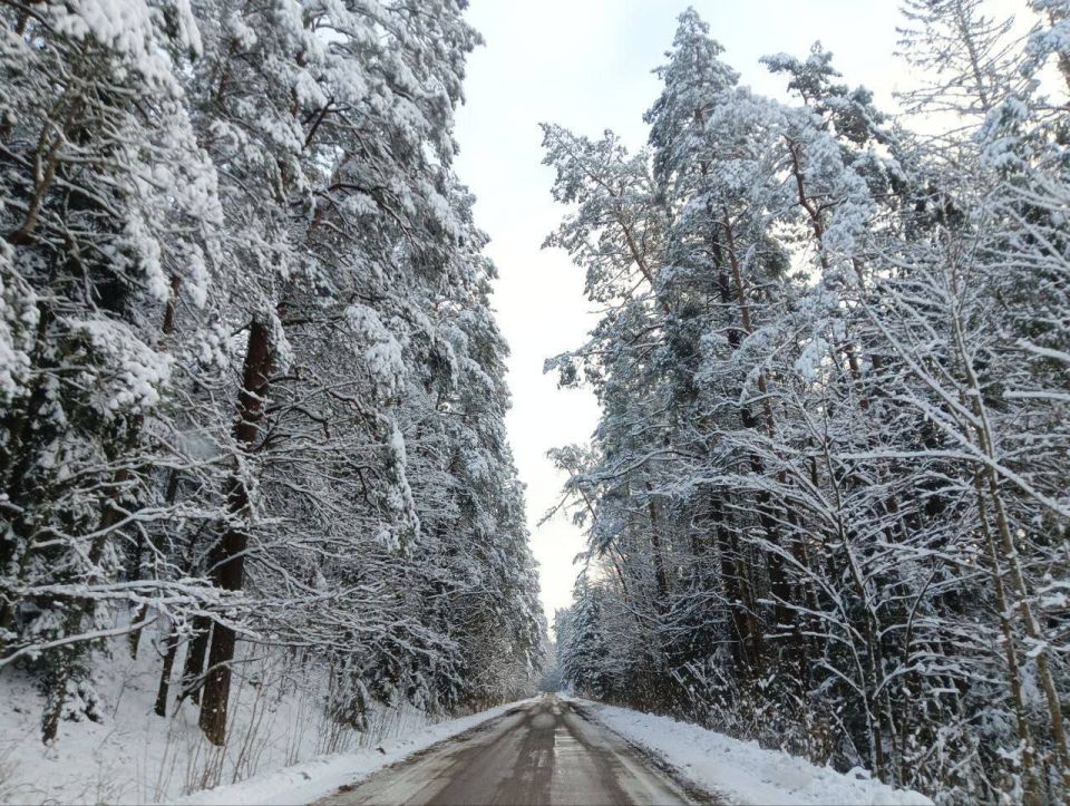 Доброе утро, друзья!. Погода во вторник День выдастся серым, туманным и прохладным