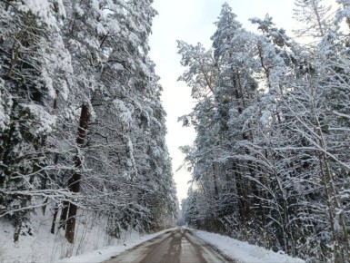 Доброе утро, друзья!. Погода во вторник День выдастся серым, туманным и прохладным