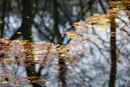 Синоптики рассказали, когда в Калининградскую область вернётся тепло