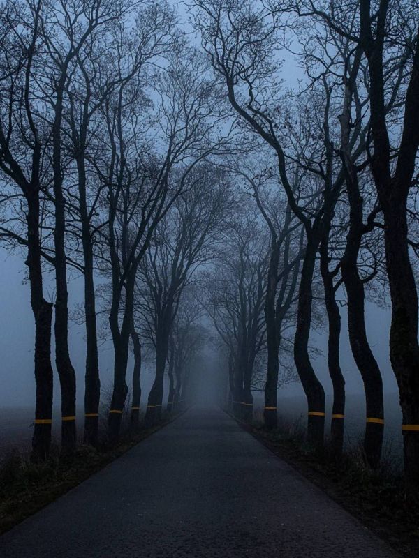 Туман в Калининградской области