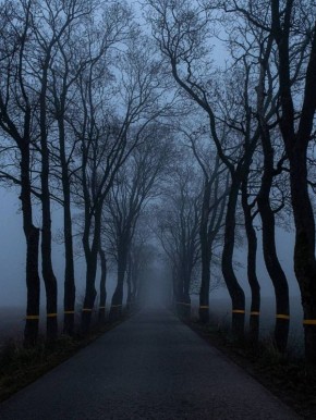 Туман в Калининградской области