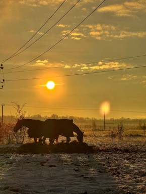 В поселке Мушкино сейчас царит такая атмосфера