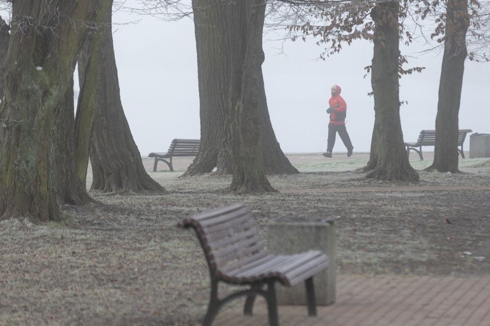 Подсмотрели за вами, пока вы занимались утренними делами