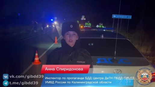    3  2025   19:32                 52- ,    ...