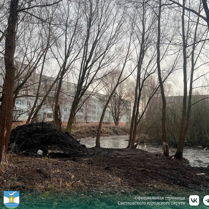 В Светловском городском округе стартовала реализация проекта по благоустройству территории вокруг пруда, начался первый этап благоустройства