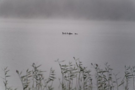 Доброе утро среды!. Сегодня регион останется под влиянием антициклона — погода будет пасмурной и прохладной