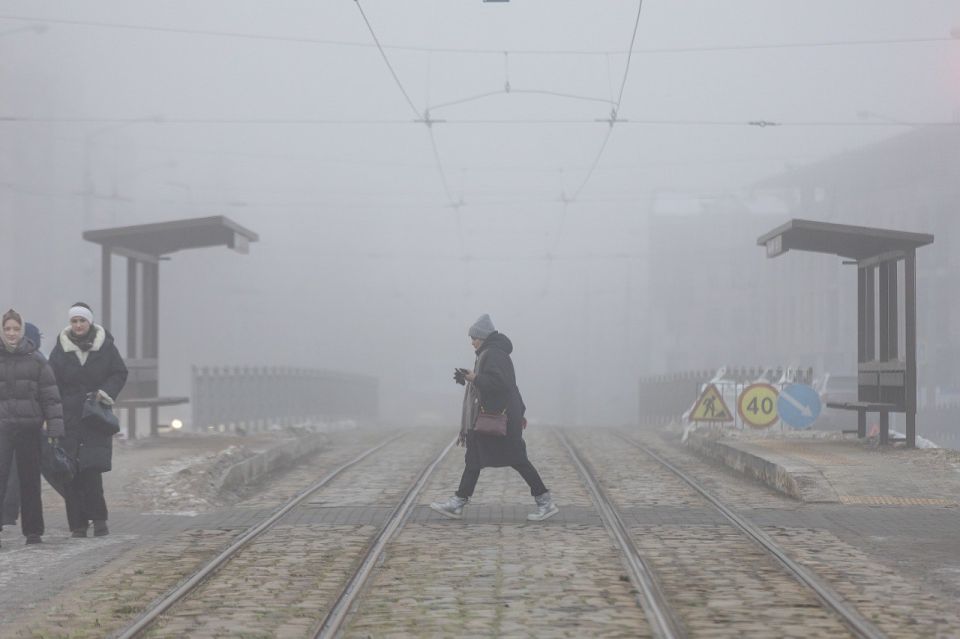 Подсмотрели за вами, пока вы занимались утренними делами Подсмотрели за вами, пока вы занимались утренними делами
