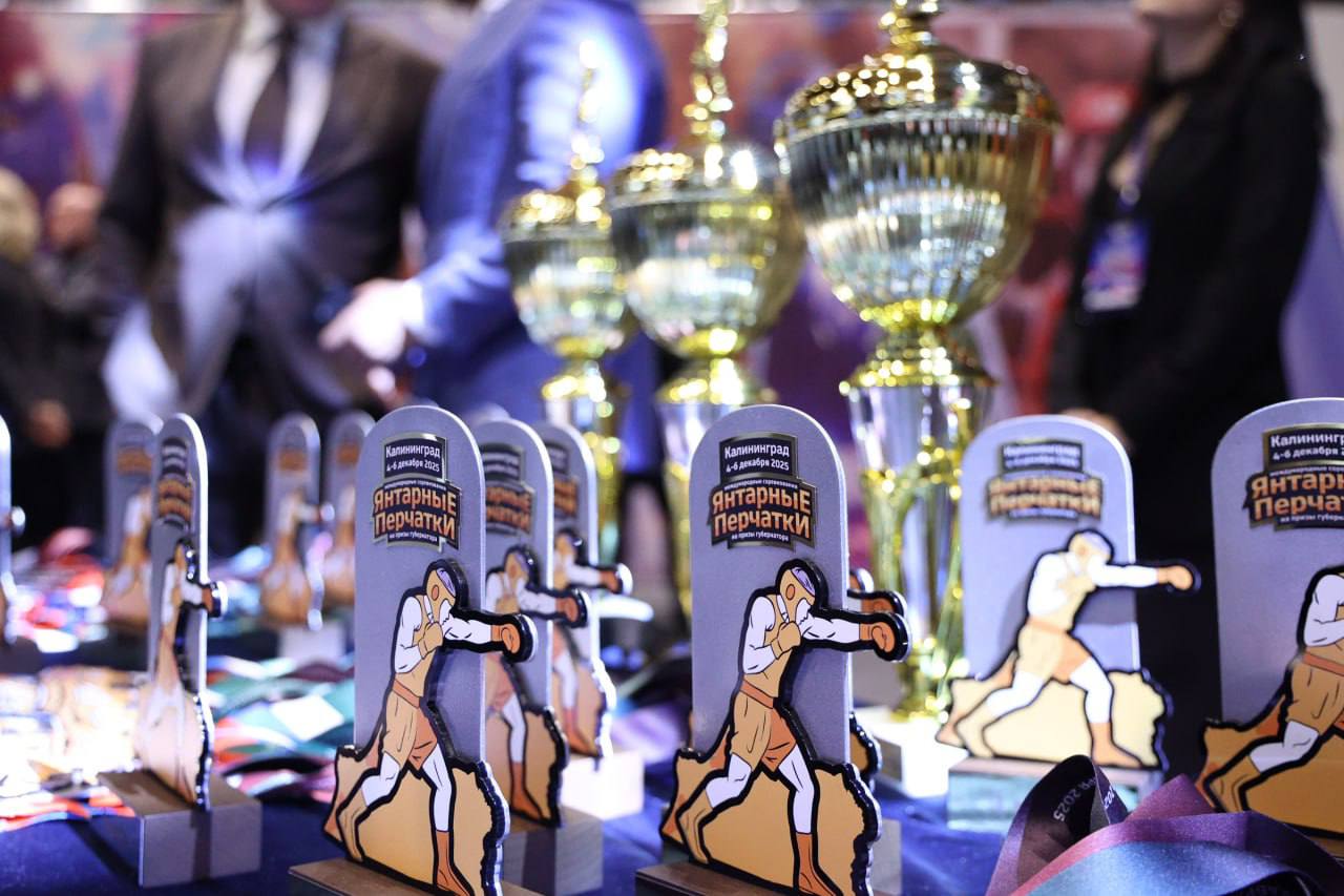 Елена Дятлова: Дали старт 29-м международным соревнованиям по боксу «Янтарные перчатки» Елена Дятлова: Дали старт 29-м международным соревнованиям по боксу «Янтарные перчатки»