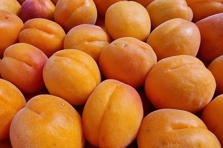 Как купить абрикосы и не попасть впросак: ни один плод не будет гнилым и кислым