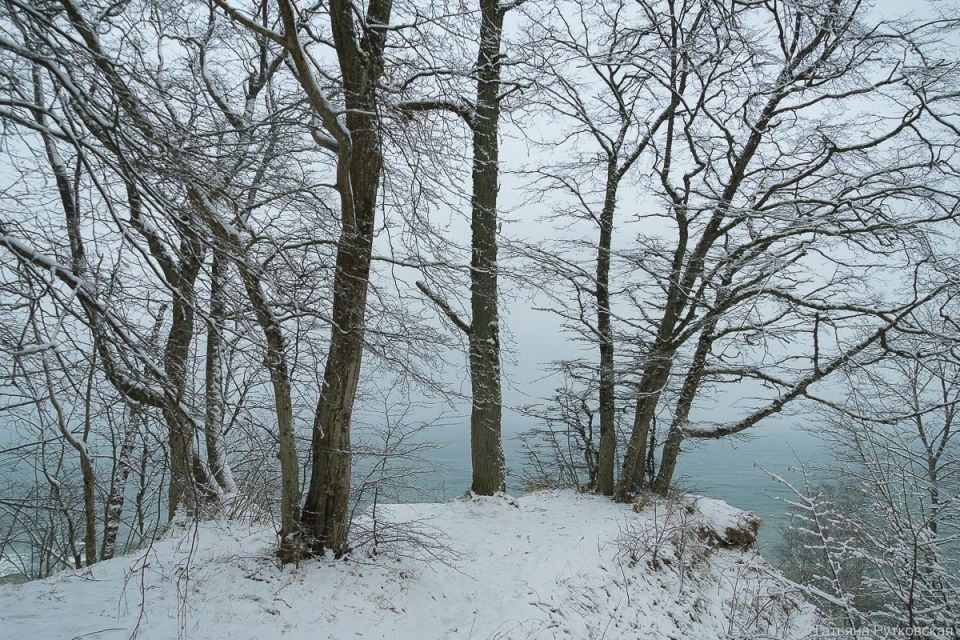 Балтийское побережье зимой превращается в сказочную локацию