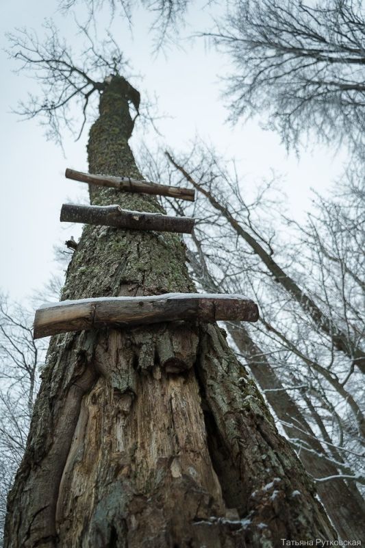 Балтийское побережье зимой превращается в сказочную локацию