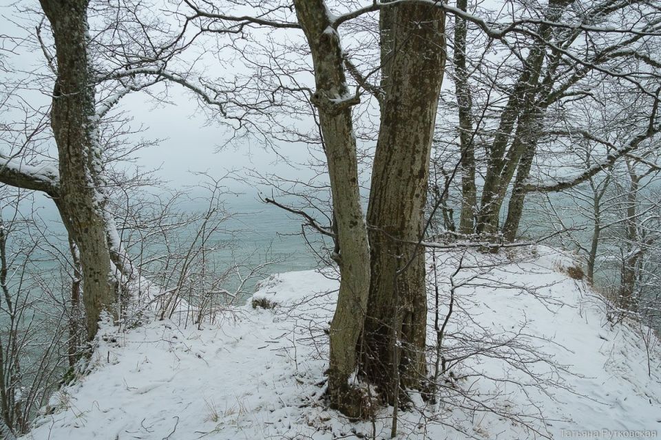 Балтийское побережье зимой превращается в сказочную локацию