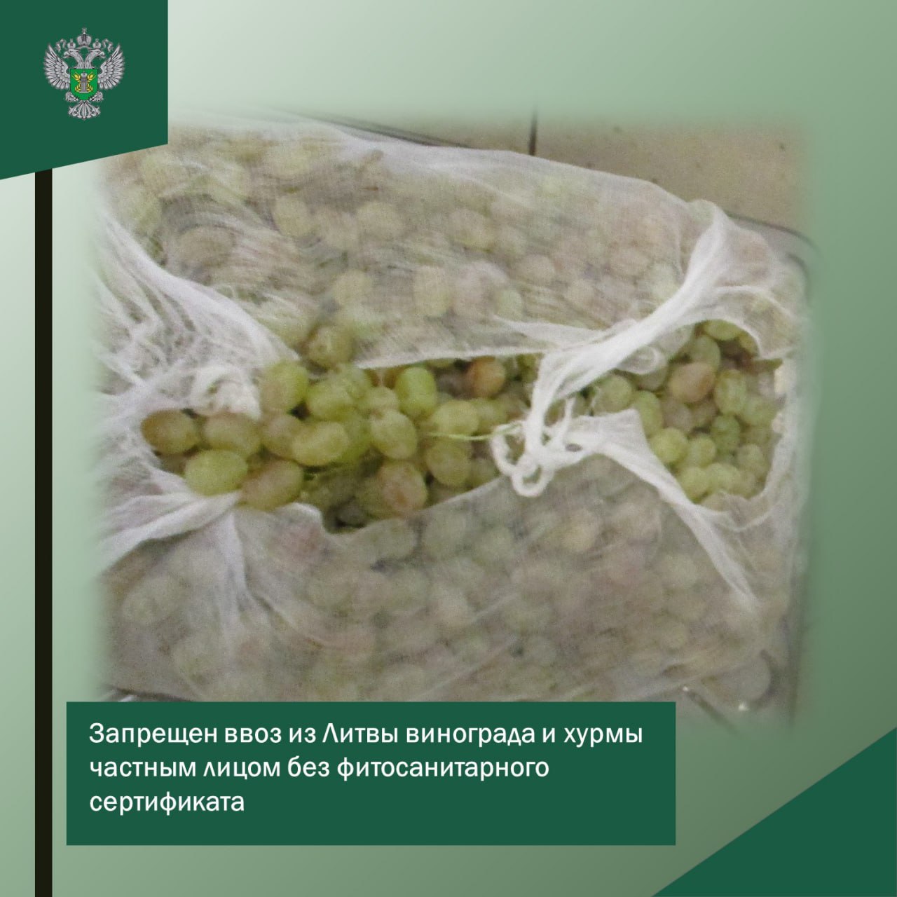 Запрещен ввоз из Литвы винограда и хурмы частным лицом без фитосанитарного сертификата