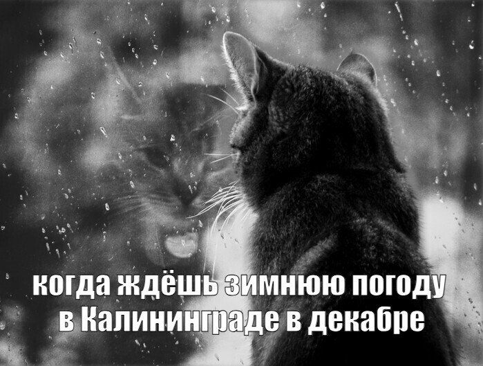 По последним прогнозам ждать зимней погоды в ближайшее время не стоит