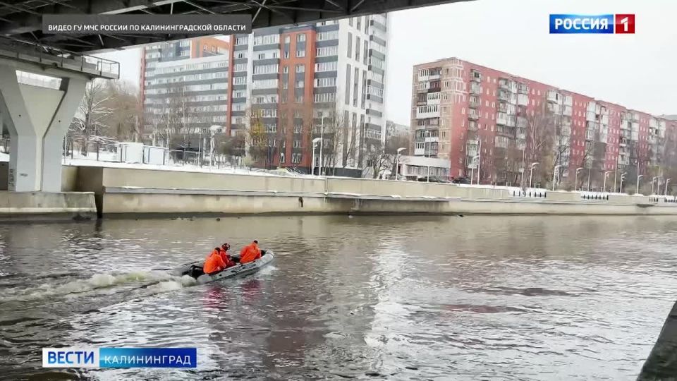 В Калининграде на серой глади Преголи появились «оранжевые пятна»