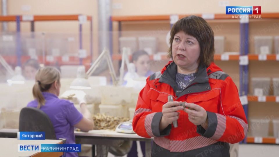 Спрос на чёрный янтарь за 7 лет вырос в 12 раз