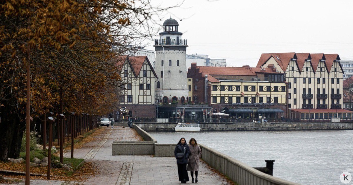 Вильфанд объяснил, почему в европейской части России стоит тёплая погода в декабре