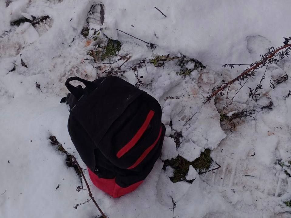 Западное линейное управление МВД России на транспорте