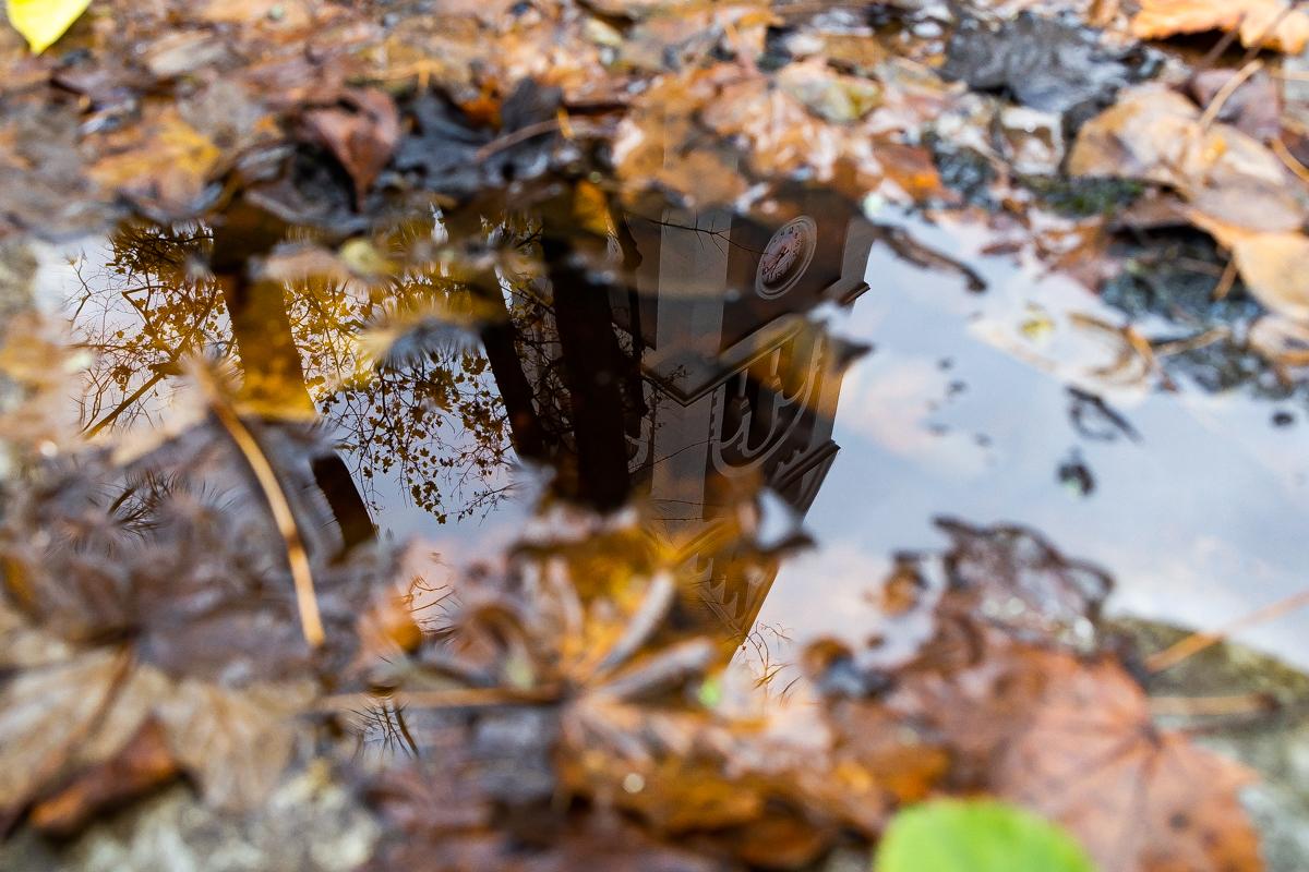 В Калининградской области на следующей неделе прогнозируют осеннюю погоду с дождями